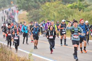 BIB: 2217
                            <button type="button" onclick="openModal(7002697)" class="btn btn-primary btn-sm float-right btn-popup" data-toggle="modal" data-target=".modal-high-quality">
                        <i class="fas fa-shopping-cart"></i> Add to Cart
                    </button>
                                            <button type="button" onclick="isThisMe(7002697, true)" class="btn btn-success btn-sm float-right btn-popup btn-isme hidden" data-toggle="tooltip" data-placement="bottom" title="นี่คือรูปของคุณใช่ไหม คลิกที่นี่เพื่อเอาเข้าอัลบั้ม">
                        <i class="fas fa-plus"></i> Add to album
                    </button>
                    <button type="button" onclick="isThisMe(7002697, false)" class="btn btn-warning btn-sm float-right btn-popup btn-isnotme hidden">
                        <i class="fas fa-ban"></i> Remove from album
                    </button>